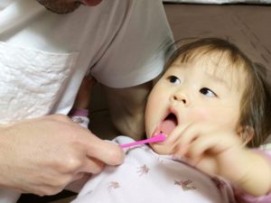 子供の歯磨きはいつから～手順と歯ブラシの選び方や乳歯を磨く理由