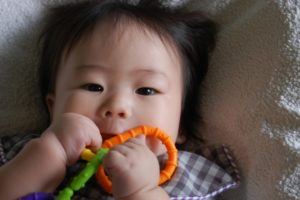 歯固めのデメリットとメリットやいつから～お手入れ方法とおすすめ