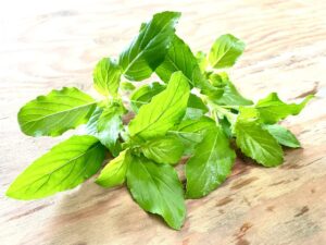 青空レストランで紹介された静岡県のバジル～レシピまとめとお取り寄せ情報