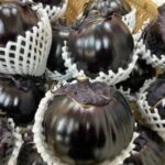 青空レストランで紹介された賀茂なすのレシピまとめ~おすすめと口コミ