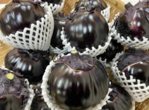 青空レストランで紹介された賀茂なすのレシピまとめ~おすすめと口コミ