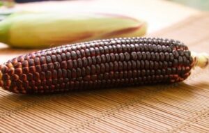 青空レストラン～赤いとうもろこしの大和ルージュのお取り寄せ通販とレシピまとめ