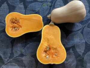 青空レストラン～バターナッツカボチャのレシピとお取り寄せ通販