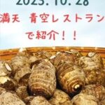 青空レストラン~福井県上庄里芋のお取り寄せ情報とレシピまとめ