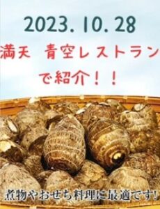 青空レストラン~福井県上庄里芋のお取り寄せ情報とレシピまとめ