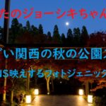 ちまたのジョーシキちゃん~オシャレでSNS映えするフォトジェニックな秋の公園特集