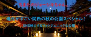 ちまたのジョーシキちゃん～オシャレでSNS映えするフォトジェニックな秋の公園特集