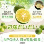青空レストラン~鹿児島県肝付町の辺塚だいだいのお取り寄せ通販とレシピまとめ