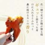 満天☆青空レストラン~高知県エガニのお取り寄せ方法とレシピのまとめ