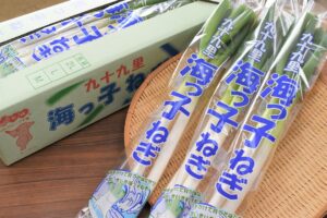 青空レストラン~千葉県の九十九里海っ子ねぎのお取り寄せと絶品レシピまとめ