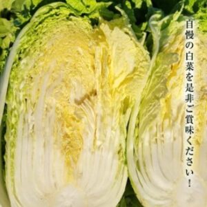 青空レストラン~茨城県のとろとろ白菜のお取り寄せとアレンジレシピまとめ