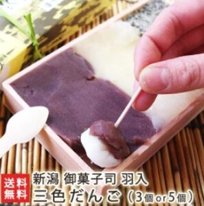 秘密のケンミンSHOW～新潟県の謎の三食団子はどこで買える？