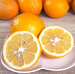 青空レストラン～神奈川県小田原市のレモンライムのお取り寄せとレシピまとめ