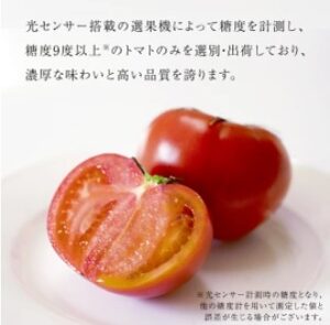 青空レストラン～茨城県のフルーツトマトてるて姫のお取り寄せと絶品レシピまとめ