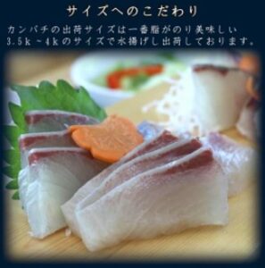 青空レストラン～鹿児島県のアカバナのとお取り寄せ通販と絶品レシピまとめ