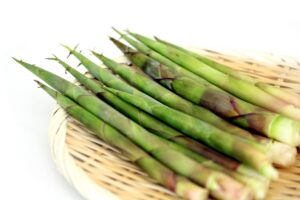 秘密のケンミンSHOW極～今が旬の根曲がり竹のお取り寄せ通販